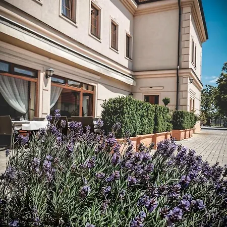 Restaurant Pansion Wien