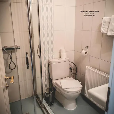 Restaurant Pansion Wien 3*