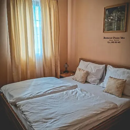 Restaurant Pansion Wien 3* Cierny Brod