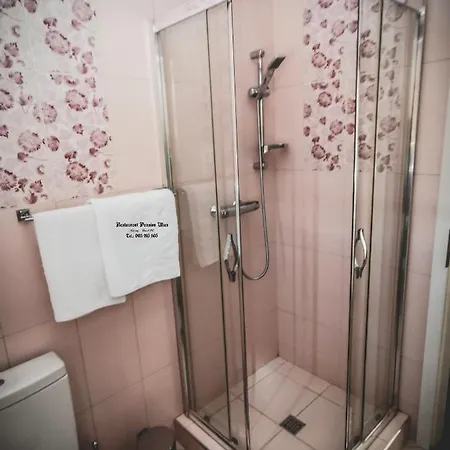 Restaurant Pansion Wien 3*