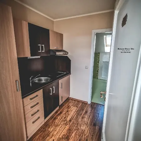 Restaurant Pansion Wien 3*