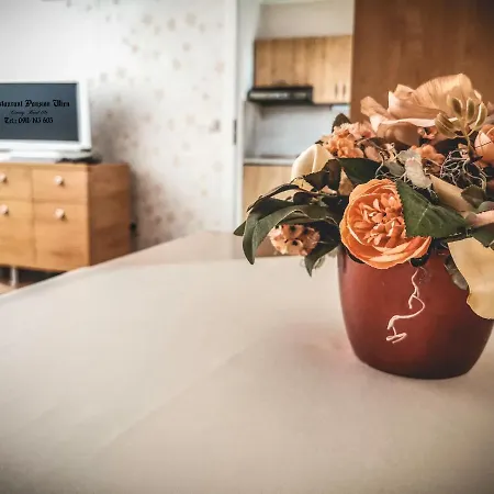 Gasthuis Restaurant Pansion Wien 3*