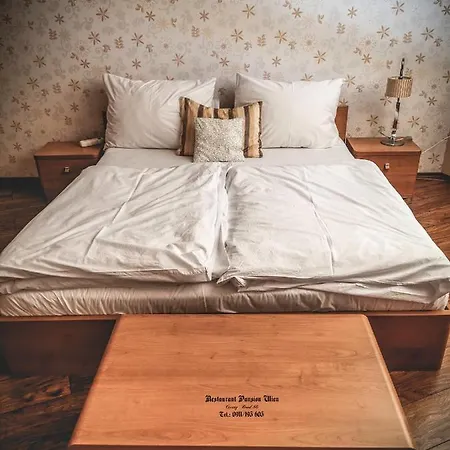 Restaurant Pansion Wien 3* Cierny Brod