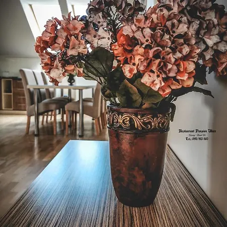 Restaurant Pansion Wien Gasthuis Cierny Brod