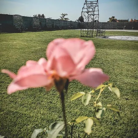 Restaurant Pansion Wien 3*