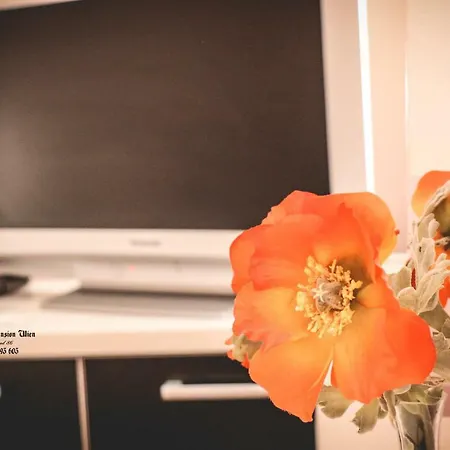 Restaurant Pansion Wien Gasthuis